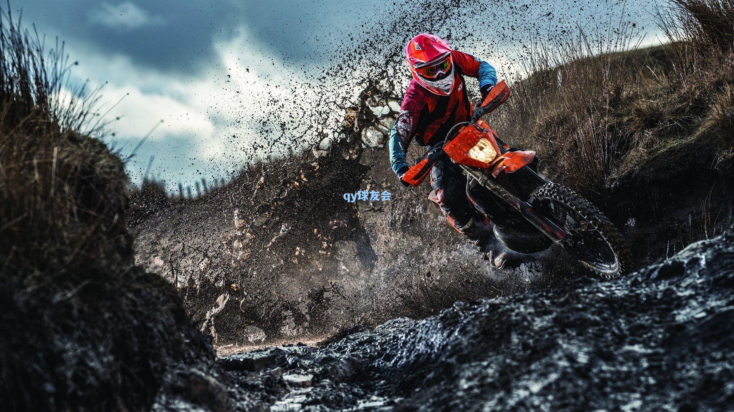 从安德森到李凯尔，篮球血脉的百年回响与东方重逢